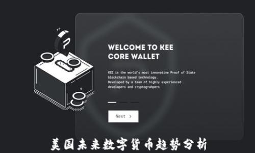 
美国未来数字货币趋势分析