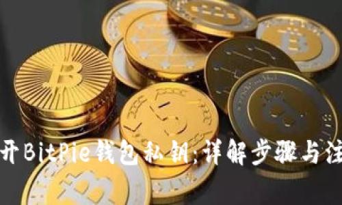 如何打开BitPie钱包私钥：详解步骤与注意事项