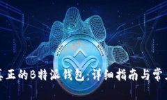 如何辨别真正的B特派钱包：详细指南与常见问题