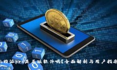 b特派pro是正版软件吗？全面解析与用户指南