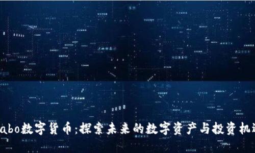 Cabo数字货币：探索未来的数字资产与投资机遇