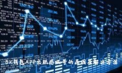 BK钱包APP出现感叹号的原因及解决方法