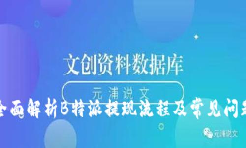 全面解析B特派提现流程及常见问题