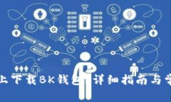 如何在电脑上下载BK钱包？详细指南与常见问题解