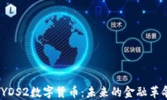 YYDS2数字货币：未来的金融革命