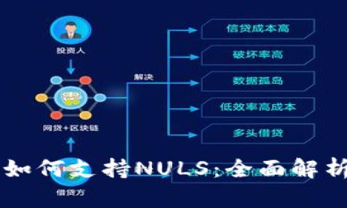 以太坊钱包如何支持NULS：全面解析与使用指南