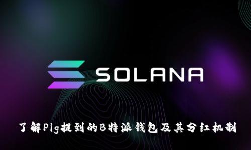 了解Pig提到的B特派钱包及其分红机制