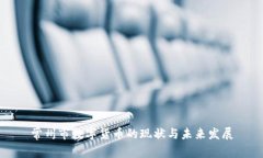 常州市数字货币的现状与未来发展