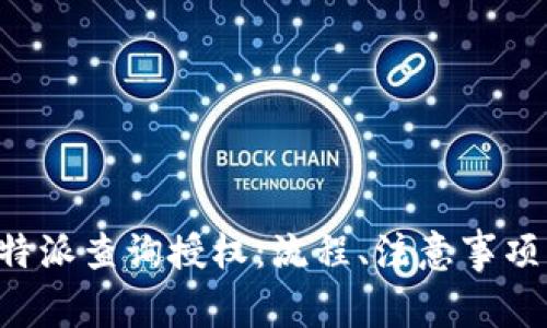 全面解读B特派查询授权：流程、注意事项与常见问题