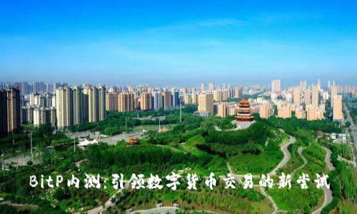 BitP内测：引领数字货币交易的新尝试