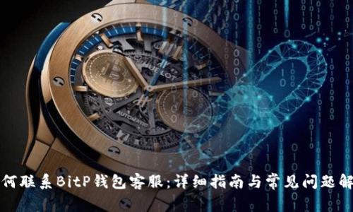 如何联系BitP钱包客服:详细指南与常见问题解答