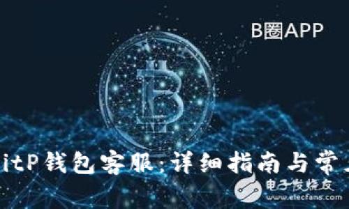 如何联系BitP钱包客服:详细指南与常见问题解答