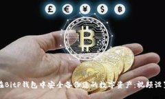 如何在BitP钱包中安全备份您的数字资产:视频设