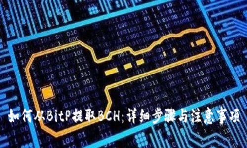 如何从BitP提取BCH:详细步骤与注意事项