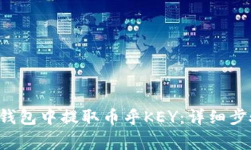 如何在B特派钱包中提取币乎KEY:详细步骤与注意事项