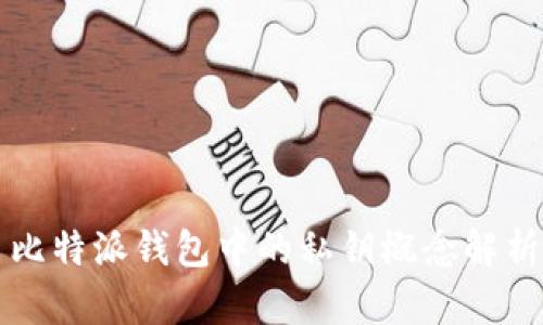 比特派钱包中的私钥概念解析