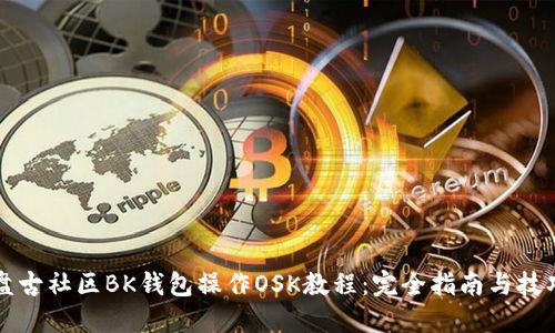 盘古社区BK钱包操作OSK教程:完全指南与技巧