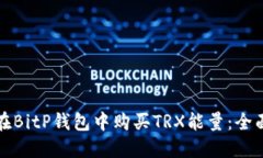 如何在BitP钱包中购买TRX能量:全面指南