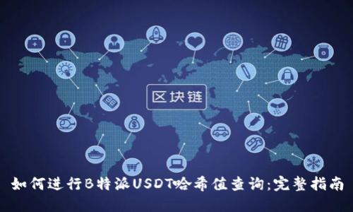 如何进行B特派USDT哈希值查询:完整指南