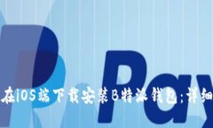 如何在iOS端下载安装B特派钱包:详细教程
