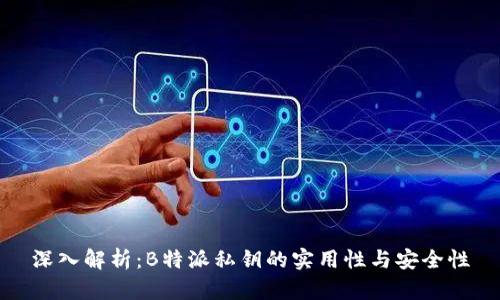 深入解析:B特派私钥的实用性与安全性