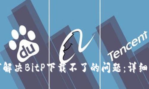 如何解决BitP下载不了的问题:详细指南