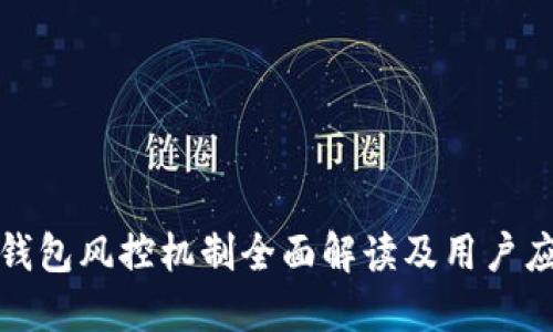 比特派钱包风控机制全面解读及用户应对策略