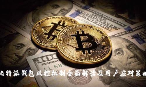 比特派钱包风控机制全面解读及用户应对策略