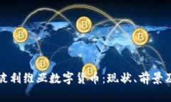 详解玻利维亚数字货币:现状、前景及挑战
