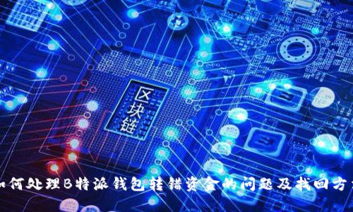 如何处理B特派钱包转错资金的问题及找回方法