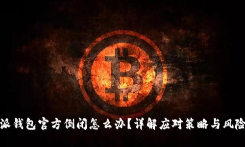 比特派钱包官方倒闭怎么办?详解应对策略与风险控制