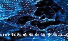 如何查询BitP钱包客服电话号码及其相关服务