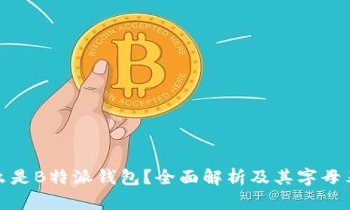 什么是B特派钱包?全面解析及其字母表达