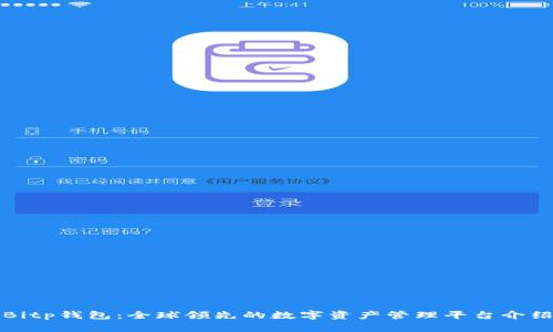 Bitp钱包:全球领先的数字资产管理平台介绍