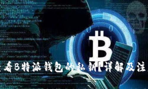 如何查看B特派钱包的私钥?详解及注意事项