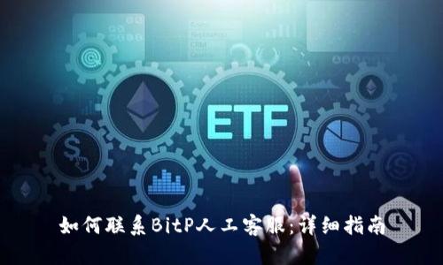 如何联系BitP人工客服:详细指南