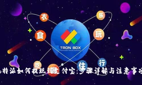 b特派如何提现到支付宝:步骤详解与注意事项