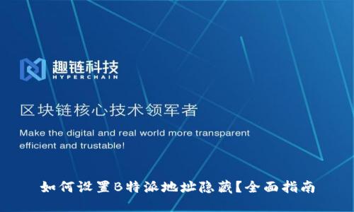 如何设置B特派地址隐藏?全面指南