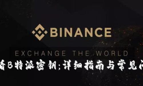 如何查看B特派密钥:详细指南与常见问题解答