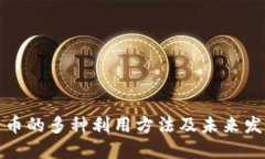 数字货币的多种利用方法及未来发展方向