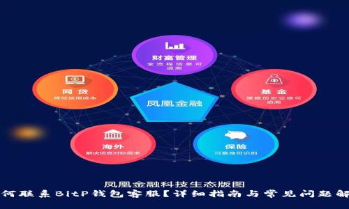 如何联系BitP钱包客服?详细指南与常见问题解析
