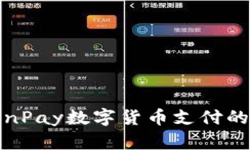 深入探讨OnPay数字货币支付的未来与影响