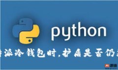 使用b特派冷钱包时,护盾是否仍然必要?