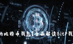 如何选择合适的比特币钱包?全面解读BitP钱包及