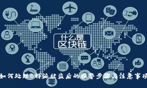 如何处理B特派被盗后的报警步骤与注意事项