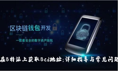 如何在B特派上获取Bcd地址:详细指导与常见问题解答