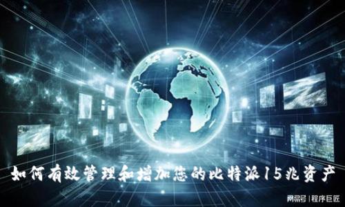 如何有效管理和增加您的比特派15兆资产