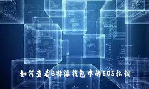 如何查看B特派钱包中的EOS私钥