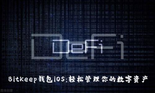 BitKeep钱包iOS:轻松管理你的数字资产