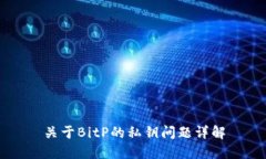 关于BitP的私钥问题详解